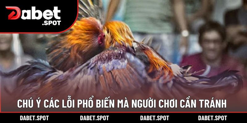Chú ý các lỗi phổ biến mà người chơi cần tránh