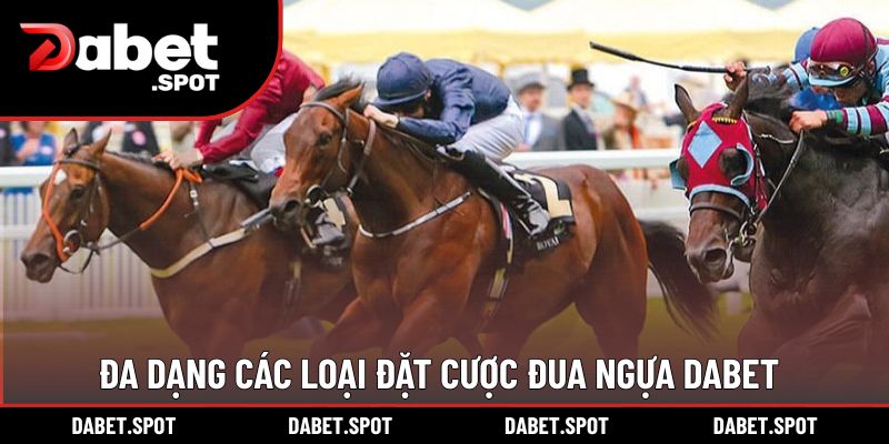 Đa dạng các loại đặt cược đua ngựa DABET