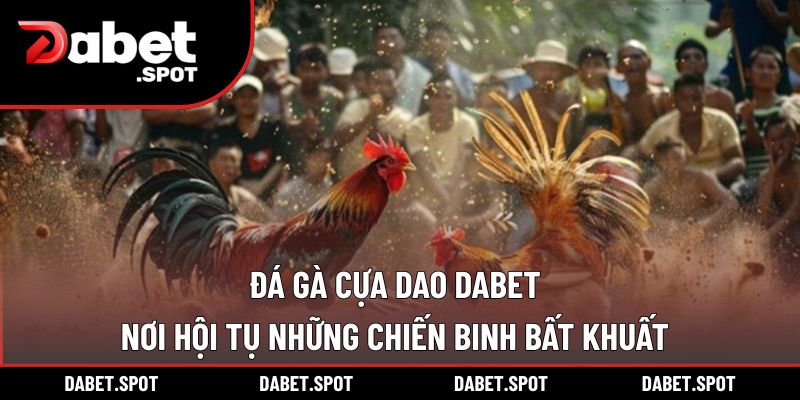 Đá Gà Cựa Dao DABET – Nơi Hội Tụ Những Chiến Binh Bất Khuất