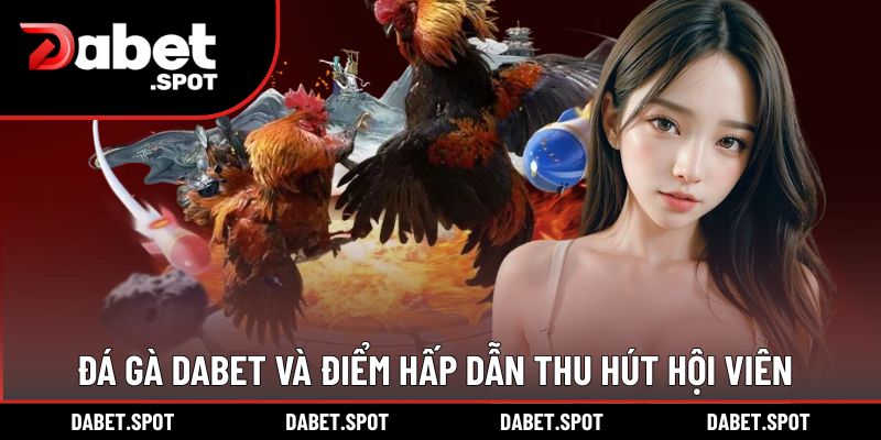 Đá gà DABET và điểm hấp dẫn thu hút hội viên
