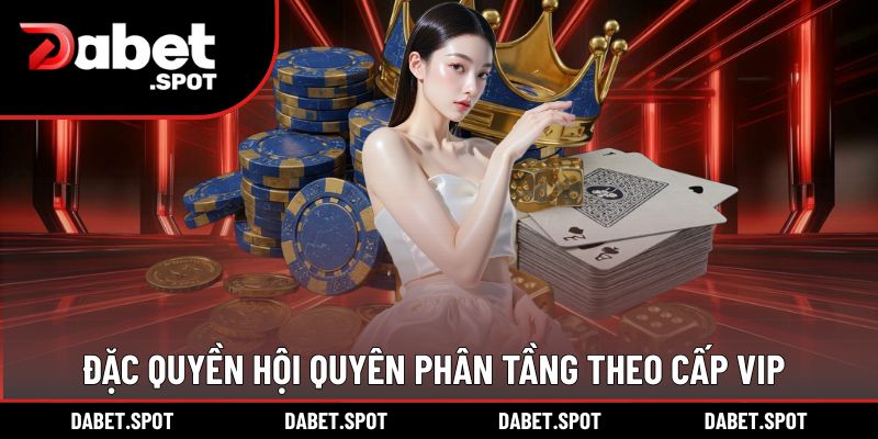 Đặc quyền hội quyên phân tầng theo cấp VIP