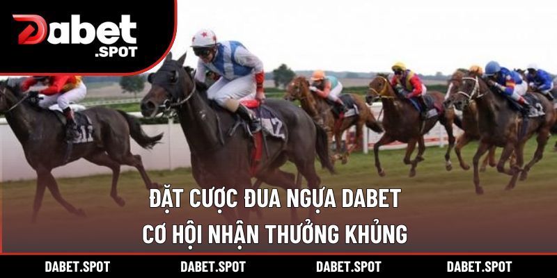 Đặt Cược Đua Ngựa DABET – Cơ Hội Nhận Thưởng Khủng