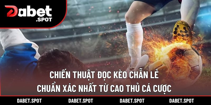 Chiến Thuật Đọc Kèo Chẵn Lẻ Chuẩn Xác Nhất Từ Cao Thủ Cá Cược