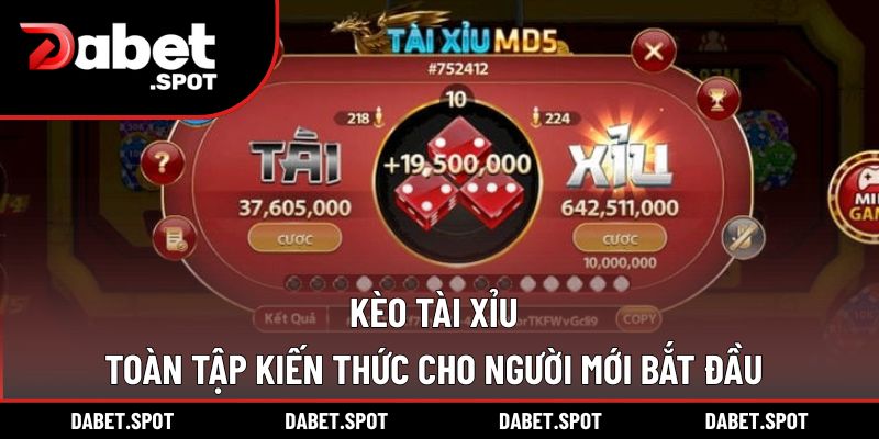 Kèo Tài Xỉu – Toàn Tập Kiến Thức Cho Người Mới Bắt Đầu
