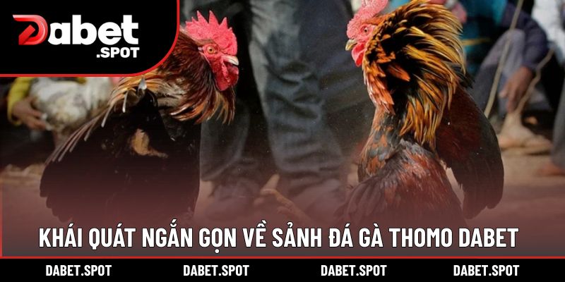 Khái quát ngắn gọn về sảnh Đá gà Thomo DABET