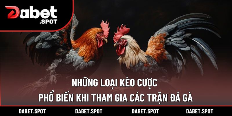 Những loại kèo cược phổ biến khi tham gia các trận đá gà