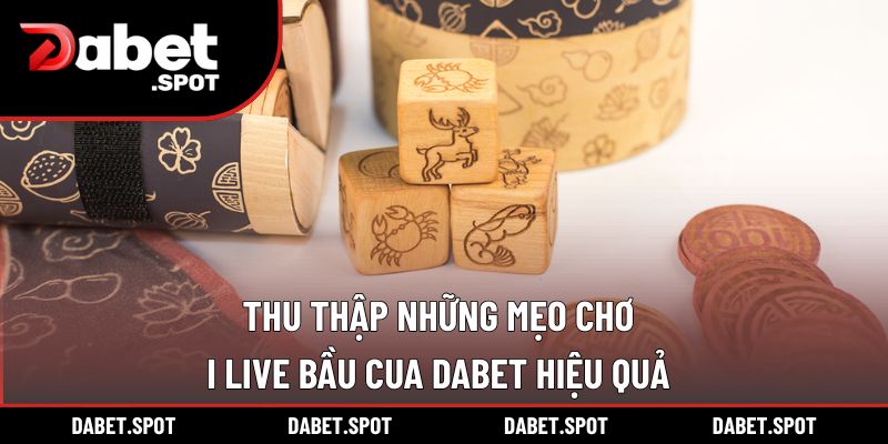Thu thập những mẹo chơi Live Bầu Cua DABET hiệu quả