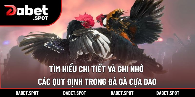 Tìm hiểu chi tiết và ghi nhớ các quy định trong đá gà cựa dao