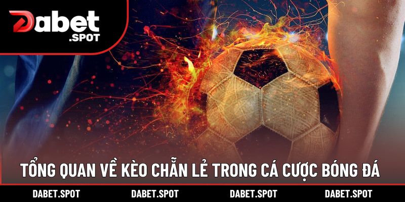 Tổng quan về kèo chẵn lẻ trong cá cược bóng đá