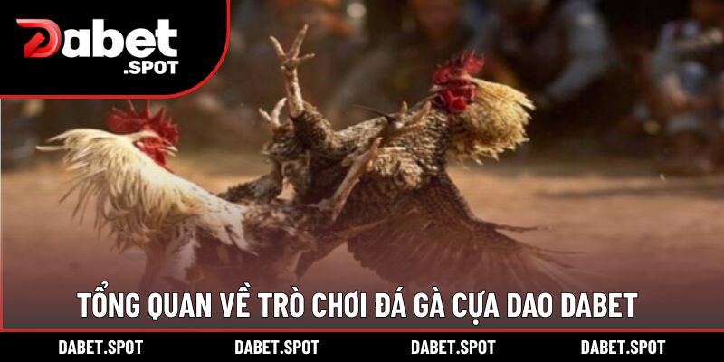 Tổng quan về trò chơi đá gà cựa dao DABET