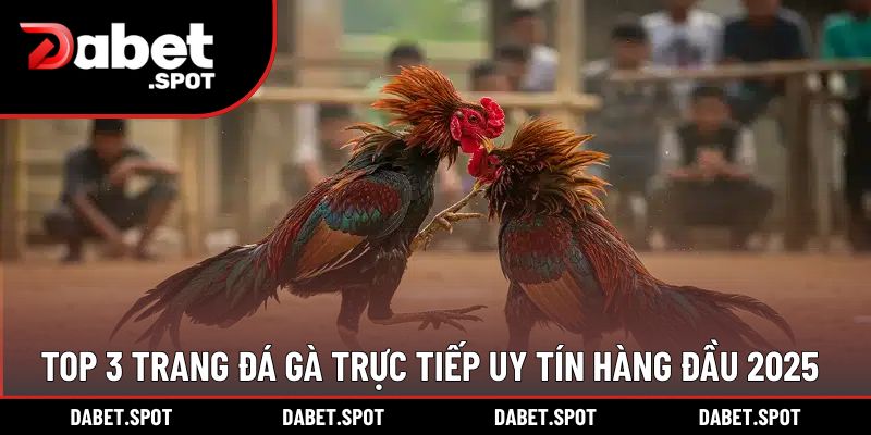 Top 3 trang  đá gà trực tiếp uy tín hàng đầu 2025