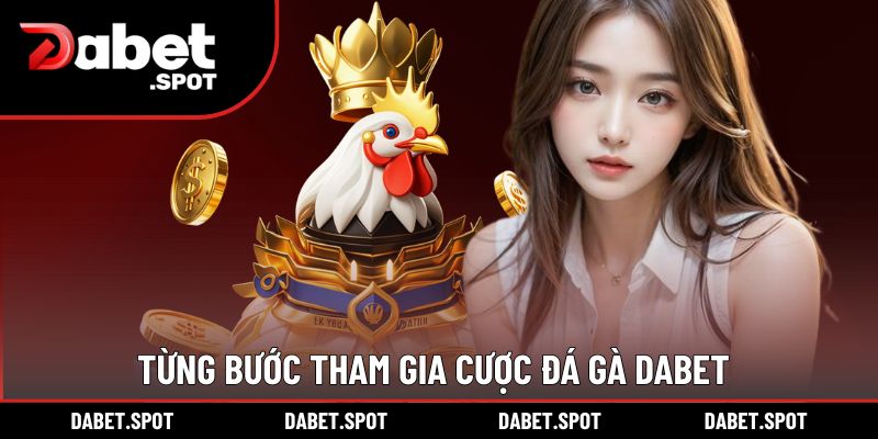 Từng bước tham gia cược đá gà DABET